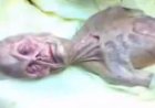 video scioccante dell'autopsia aliena in Russia nel 1969 UFO OVNI