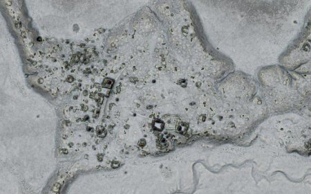 Una città Maya perduta scoperta grazie al LIDAR