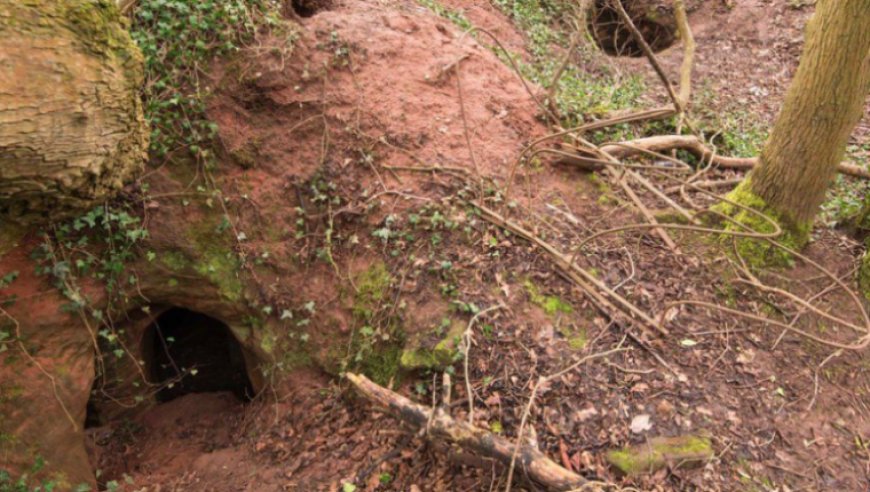 Tana di conigli porta a una rete di tunnel di 700 anni collegata ai Cavalieri Templari