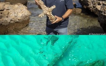 Scoperto una "Spada dei Crociati" risalente a 900 anni fa (Israele)