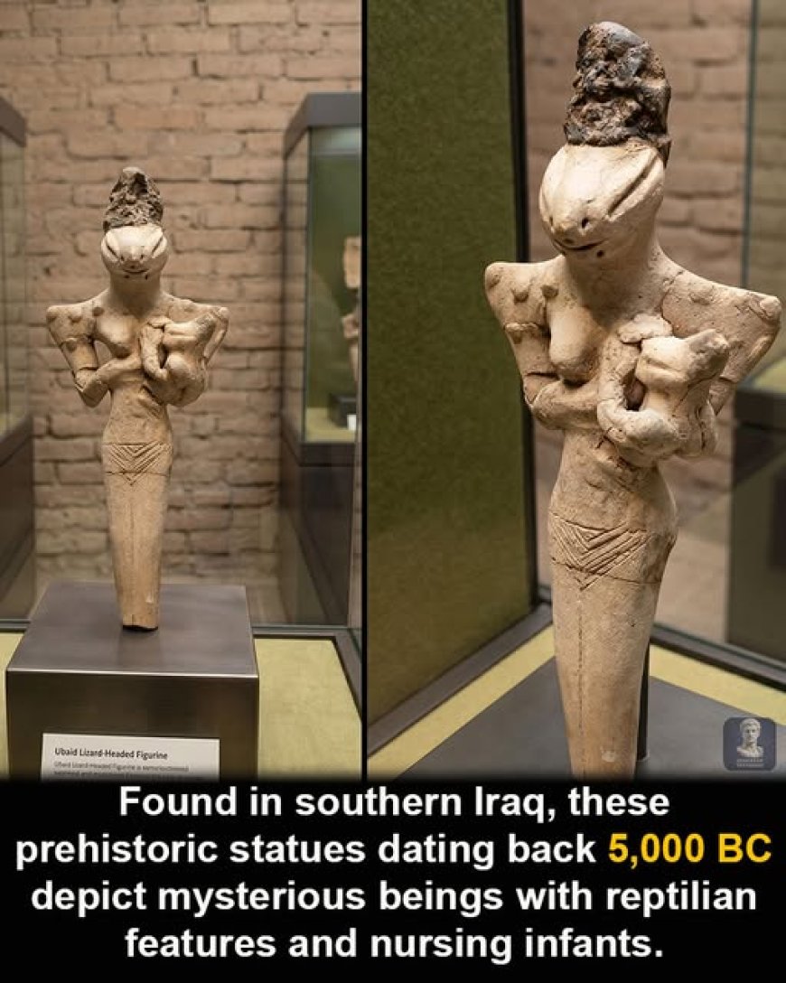 Queste statue preistoriche, scoperte nell'Iraq meridionale e datate intorno al 5000 a.C., raffigurano misteriosi esseri dai tratti simili a quelli dei rettili che tengono in braccio e allattano dei neonati.