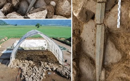 Nella tomba principesca di Strettweg, in Austria, gli archeologi hanno scoperto una straordinaria spada di bronzo risalente a circa il 700 a.C.