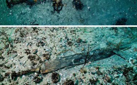 Nel 2026, gli archeologi hanno scoperto un relitto romano nel Lago di Neuchâtel, in Svizzera