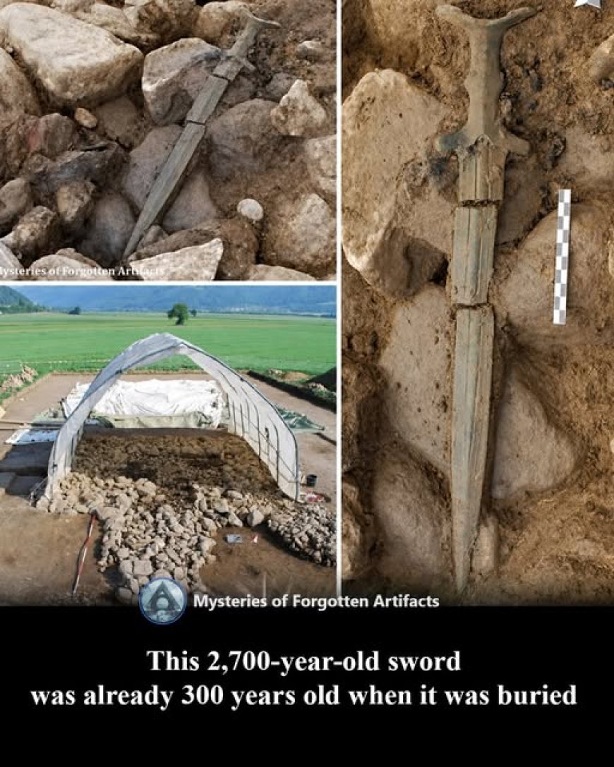 Nella tomba principesca di Strettweg, in Austria, gli archeologi hanno scoperto una straordinaria spada di bronzo risalente a circa il 700 a.C.