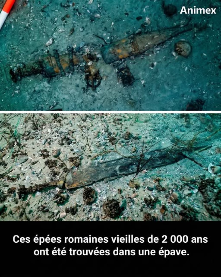 Nel 2026, gli archeologi hanno scoperto un relitto romano nel Lago di Neuchâtel, in Svizzera